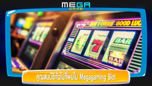 คุณสมบัติทั่วไปที่พบใน Megagaming Slot