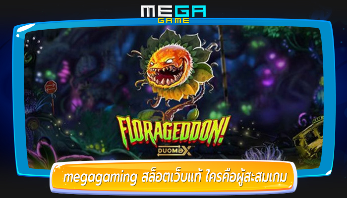 megagaming สล็อตเว็บแท้ ใครคือผู้สะสมเกม